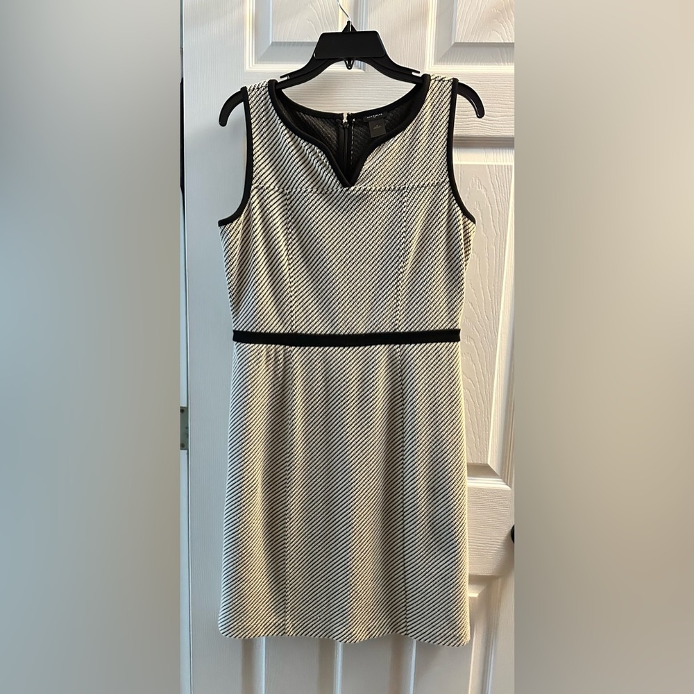 Ann Taylor size 6 black and cream dress